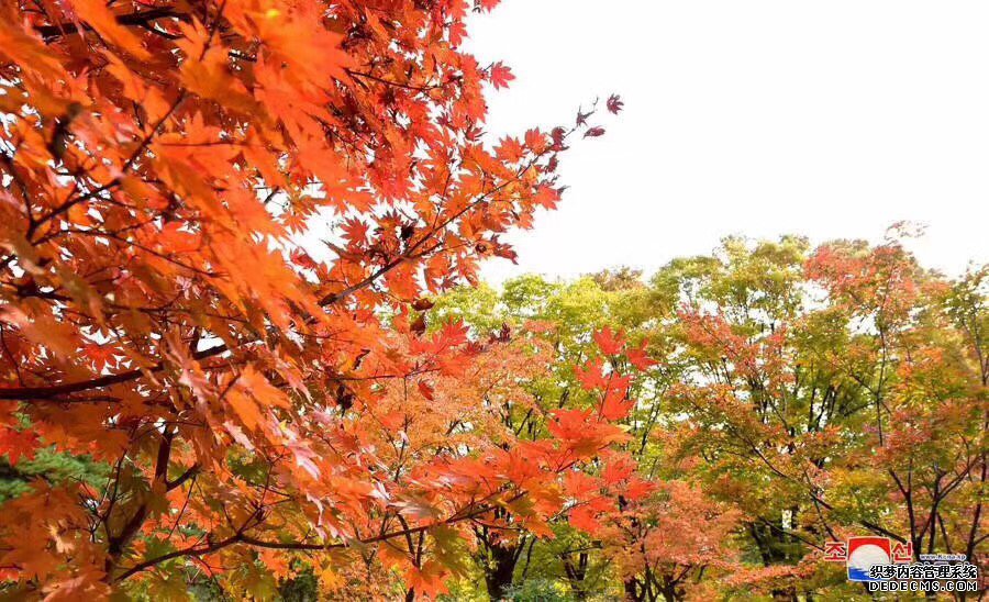 朝鲜四日游