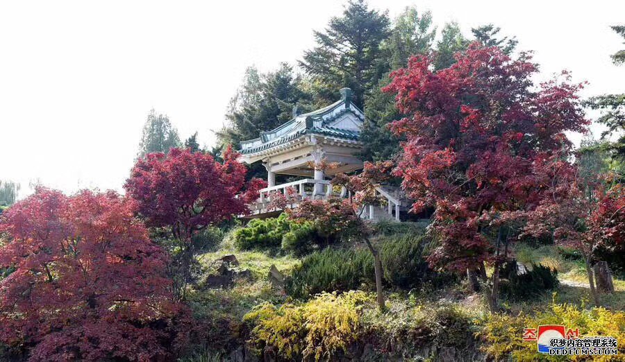 朝鲜旅游
